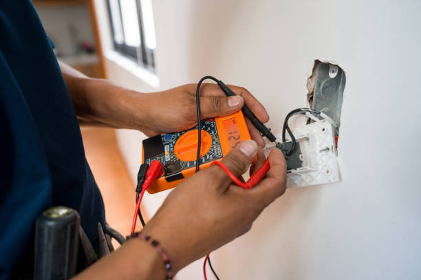 Best Ceiling Fan Installation Electrician  in Roselle Park, NJ