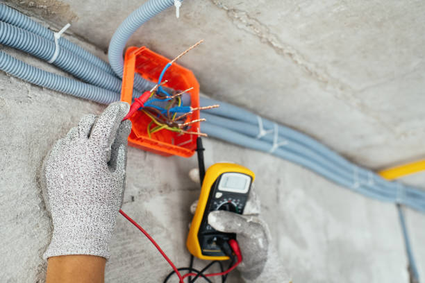 Best Licensed Electrician  in Roselle Park, NJ